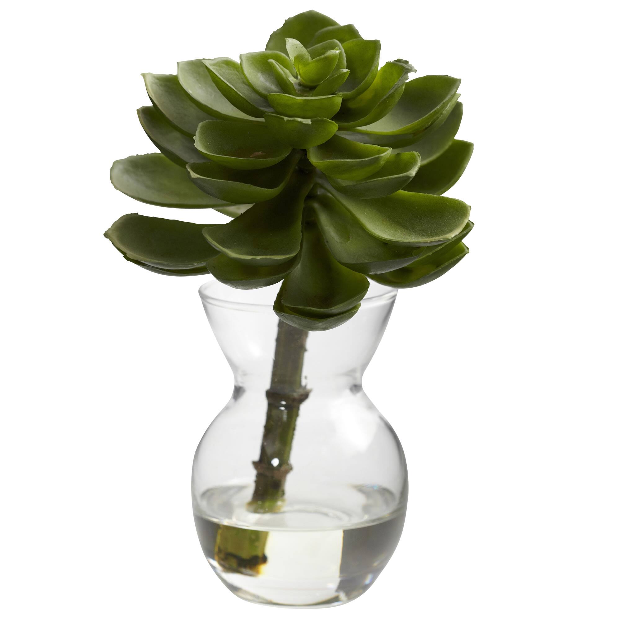 Succulent Arrangements in Vases 3ct.